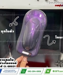 สีเทาแลมโบ มุกม่วงไดมอนด์ CL-GR031