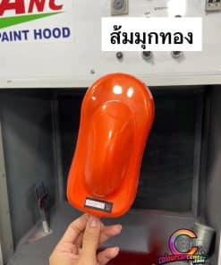 สีส้มมุกทอง CL-OR018